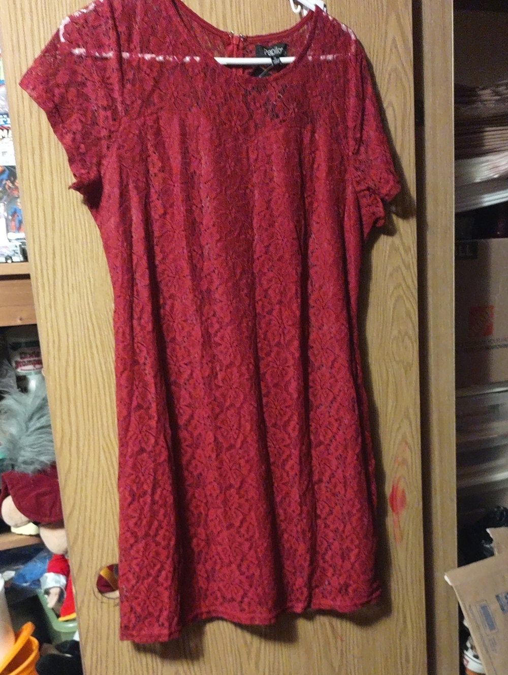 Papillon Blanc Red Lace Short-Sleeve Shift Dress